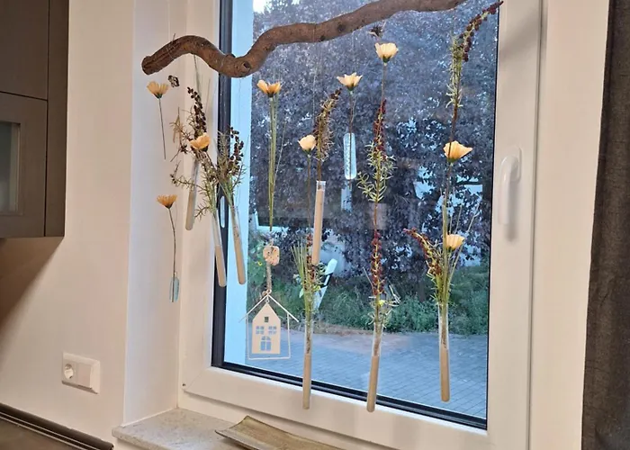 Lutki - Neues Familiendomiziel Im Spreewald - Ideal Fuer Hundehalter *